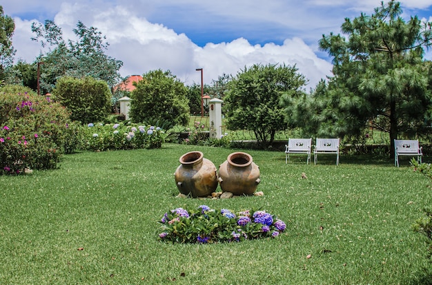 Foto bel giardino