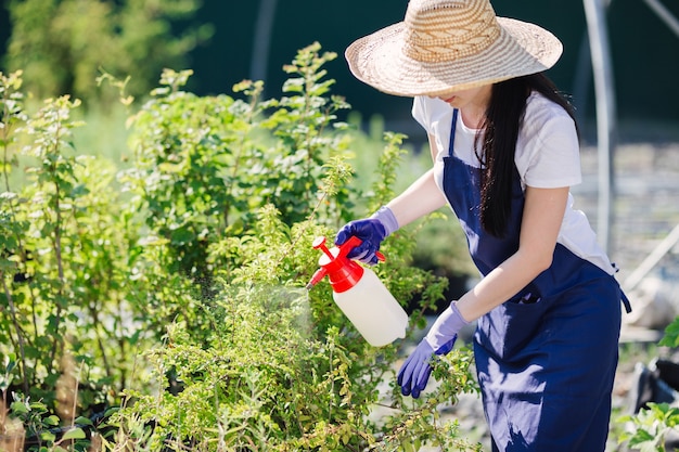 麦わら帽子の美しい庭師の女性は、庭の噴霧器から植物を振りかけます。