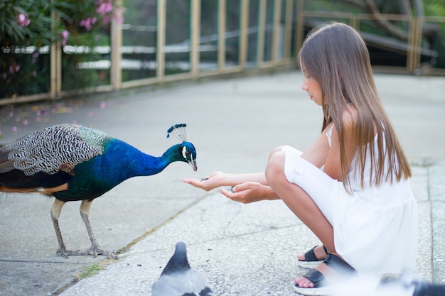 Beautiful girl feeds a peacock in the park, cute baby.