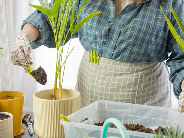 A beautiful girl florist transplants home plants into new pots a girl takes care of plants a woman plants home plants