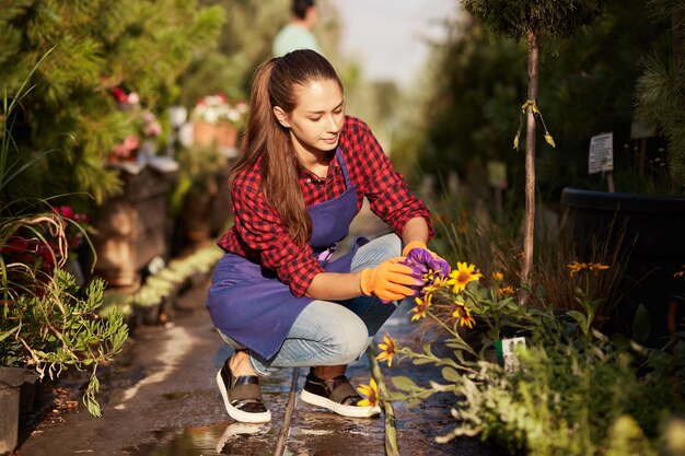 Foto il giardiniere della bella ragazza vestita in grembiule si prende cura delle piante che si siedono sul sentiero del giardino nel bellissimo vivaio-giardino in una giornata di sole. .