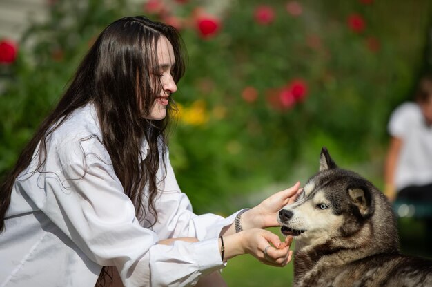 Photo a beautiful girl is playing with a husky dog