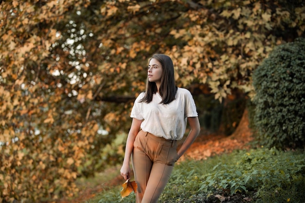 Beautiful girl outdoors in autumn fall young woman collects yellow fall leaves in autumn beauty woma