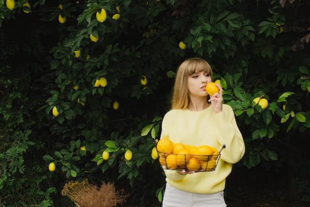 写真 美しい少女が木からレモンを摘む