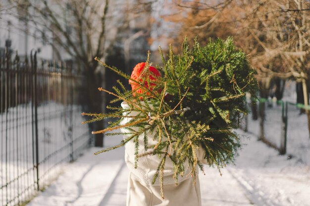 A beautiful girl in a red hat carries a Christmas tree Minimal fashion festive Christmas and New Year celebration concept