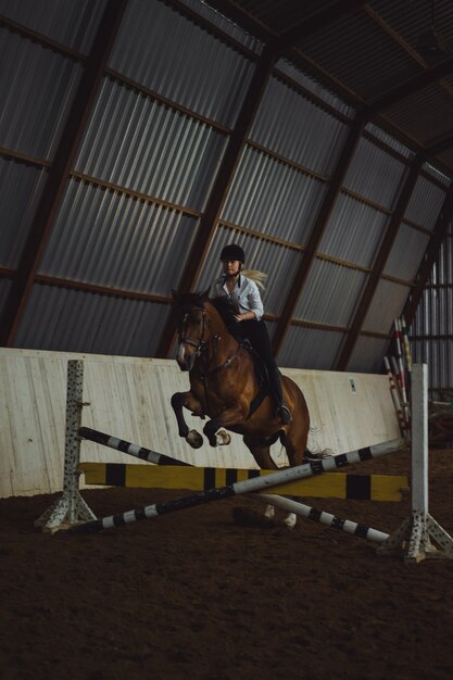 Bella ragazza che cavalca un cavallo