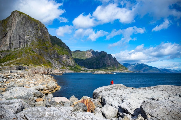 A beautiful girl stands on the rocks above the sea overlooking the mighty mountains in norway