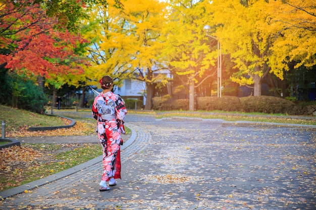 Beautiful girl wearing Japanese traditional kimono in autumn. 