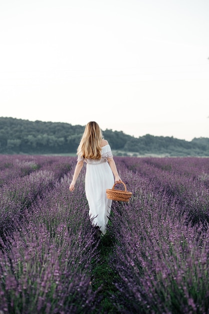 Bella ragazza in abito bianco e con un cesto cammina su un campo di lavanda