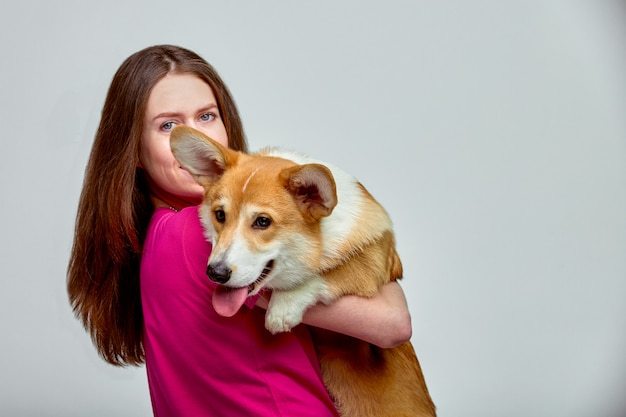 Beautiful girl with a Welsh Corgi on her hands on a gray wall, copy space