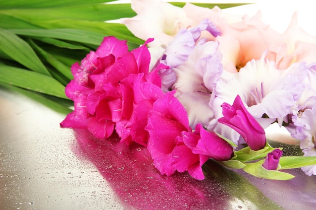 Beautiful gladiolus flower close up