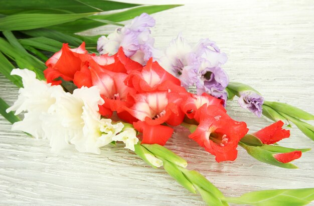 Beautiful gladiolus flower close up