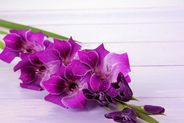 Beautiful gladiolus flower on wooden table