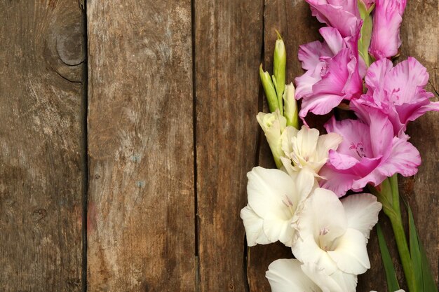 Beautiful gladiolus on wooden background