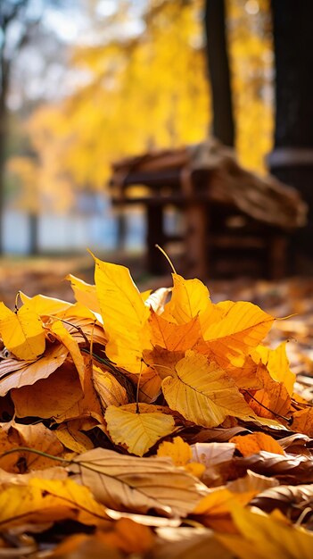 Beautiful golden autumn a harvest celebration