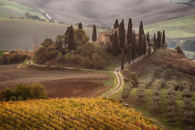 Beautiful golden sunrise in Tuscany Italy with vineyard Natural idillyc seasonal autumn background