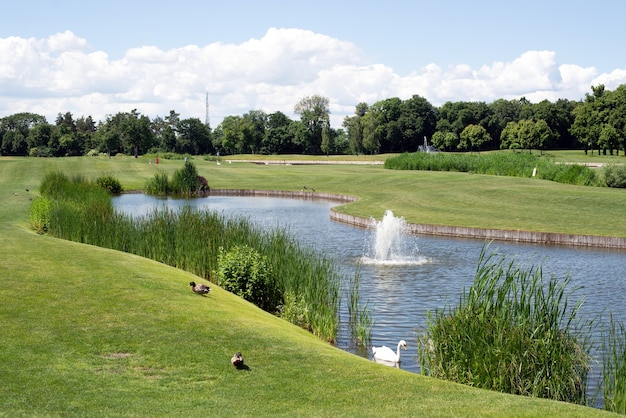 Beautiful of golf club with pond and perfect green lawn and grass