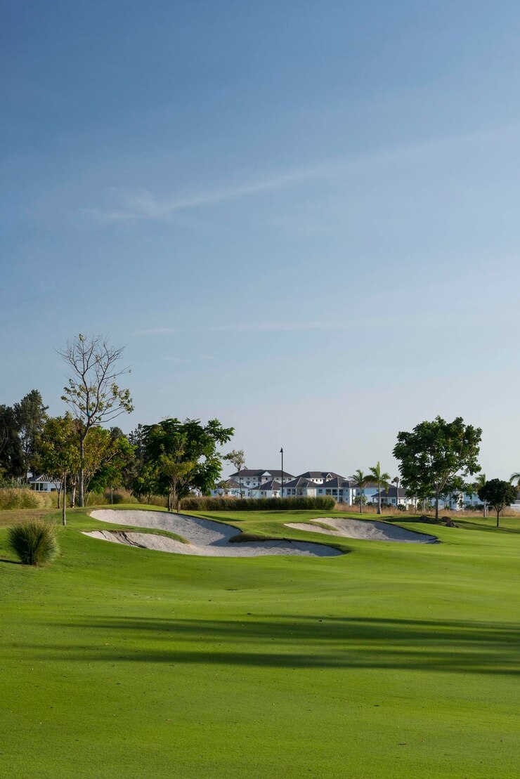 Beautiful golf course with sand trap stock photo