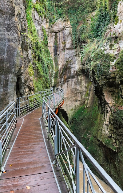 アヌシー湖の近くのフランスの美しい峡谷デュフィエ川の峡谷