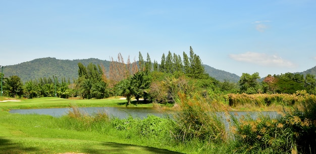 The Beautiful Grass Field with the Mountain and Blue Sky