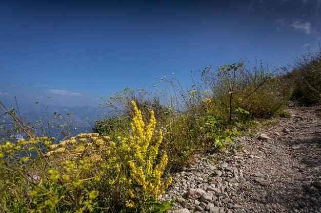 Beautiful gravel path on high mountain at sunny day