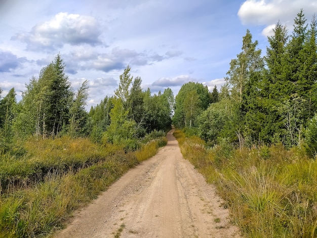 Beautiful gravel road in Saint-Petersburg suburbs.