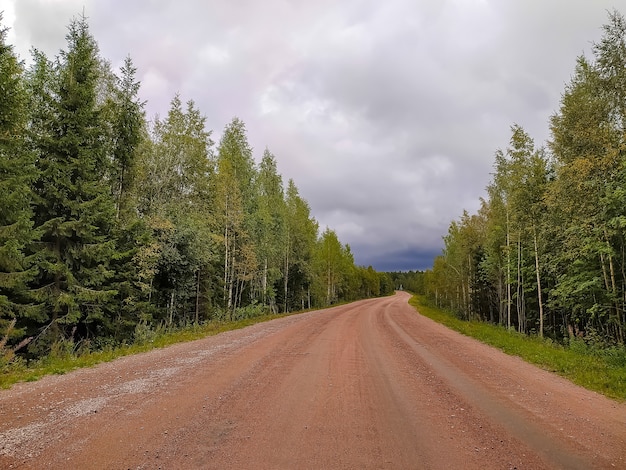 Beautiful gravel road in Saint-Petersburg suburbs.