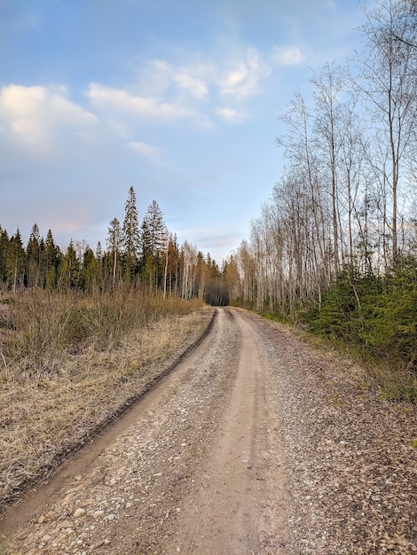 Beautiful gravel road in Saint-Petersburg suburbs.