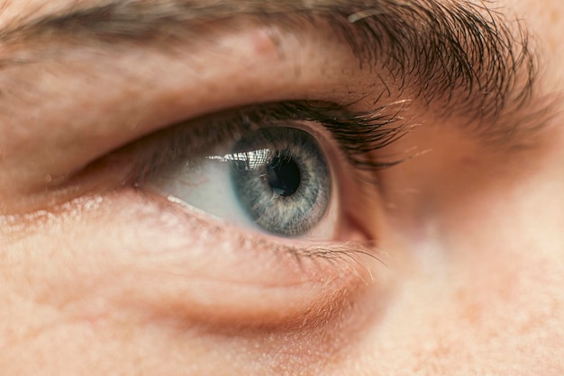 Beautiful gray male eye macro