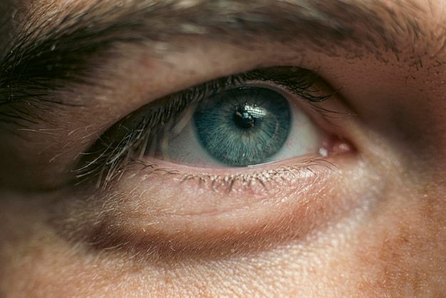 Beautiful gray male eye macro