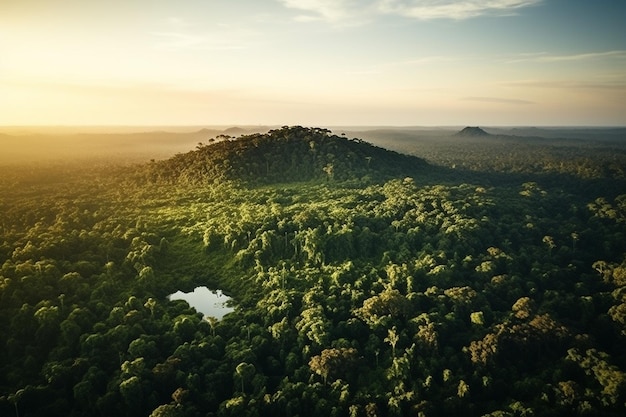 Прекрасный зеленый пейзаж амазонского леса на закате и восходе солнца