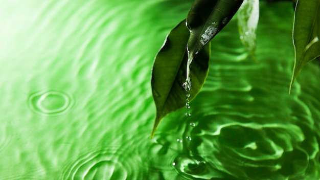 美しい緑の背景、水中での光の屈折