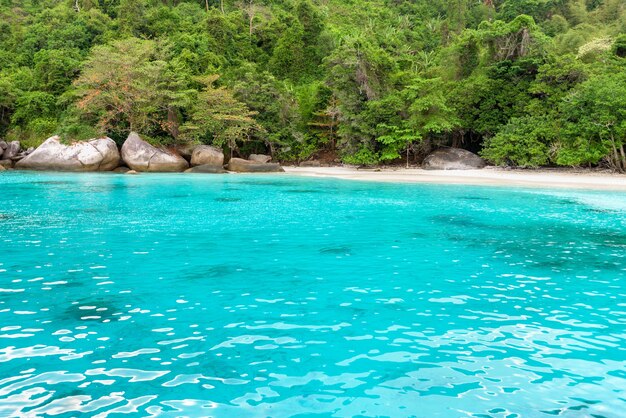 허니문 베이(Honeymoon Bay)의 아름다운 녹색 푸른 바다 앞 작은 해변은 태국 팡아(Phang Nga) 주 무 코 시밀란 국립공원(Mu Koh Similan National Park)에 있는 코미앙(Ko Miang) 섬에서 다이빙으로 유명한 명소입니다.