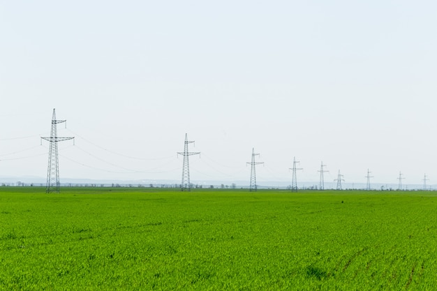 Beautiful Green field