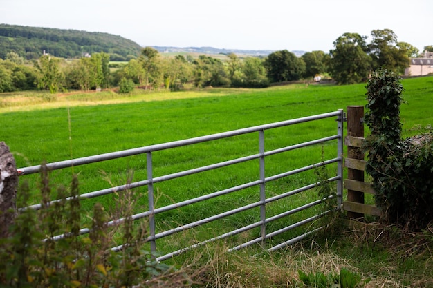 Beautiful green fields in England