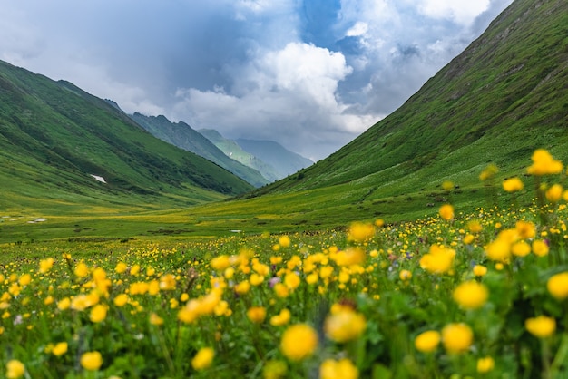 Beautiful green flowering alpine meadows on the Bzerpinsky cornice in Krasnaya Polyana, Sochi. Mountains and sky with clouds