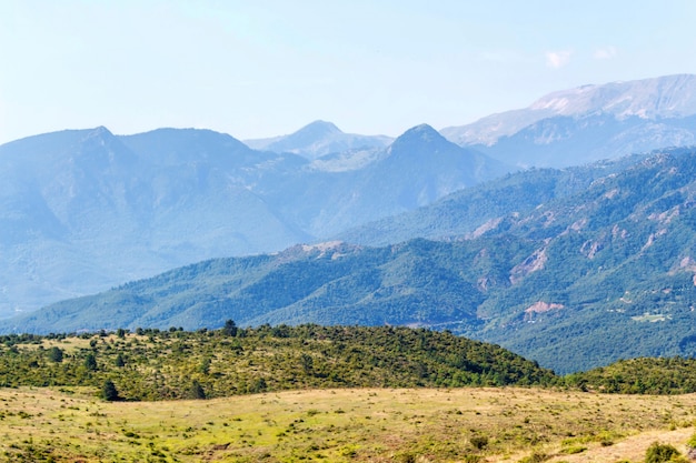 Beautiful green forest mountains