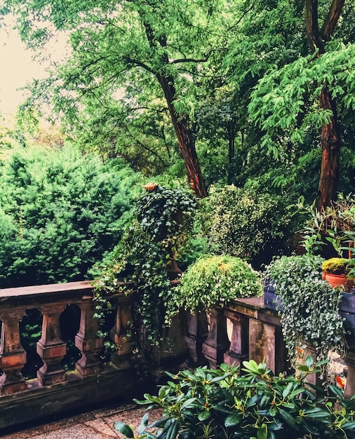 Beautiful green garden with flowers on luxury backyard