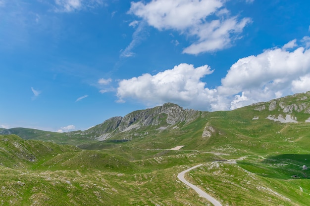 Beautiful  green grass mountain with white clouds in the blue sky