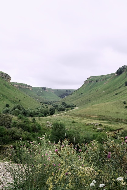 Beautiful green hills and mountains