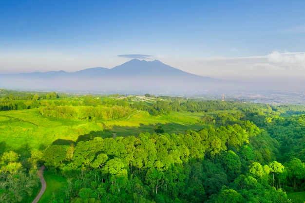 Beautiful green hills with misty mountain view