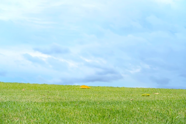 Фото Концепция холма красивого зеленого поля луга с белыми облаками и голубым небом