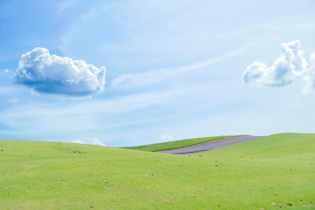 写真 白い雲と青い空の背景の概念を持つ美しい緑の牧草地のフィールドヒル