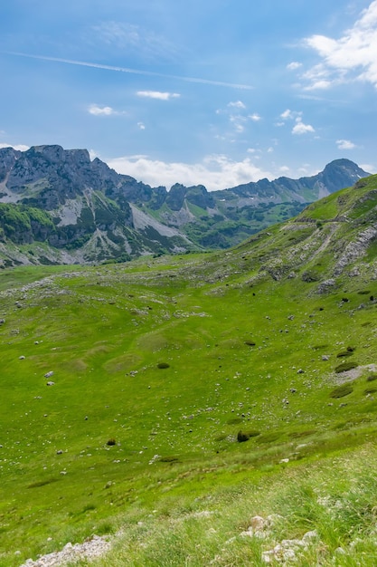 Красивые зеленые луга раскинулись среди живописных гор