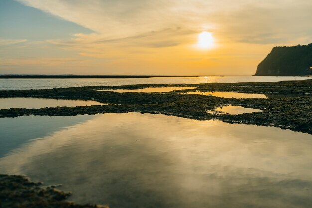 Beautiful green moss on stones near the sea with sunset background