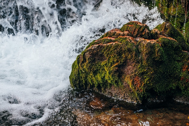 マウンテンクリークのクローズアップの速い水の中のドラゴンの頭をイメージした美しい緑の苔むした岩。滝の石に苔のある風景。野生の小さな川の岩のある素晴らしい景色。