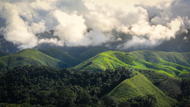 美しい緑のマウンテン ビューの背景 風光明媚な朝の山の森の景色