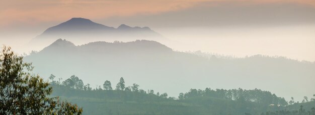 Beautiful green natural landscapes in Sri Lanka mountains