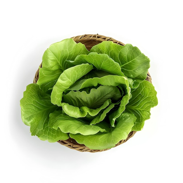 Beautiful green organic lettuce salad flat lay isolated on white background