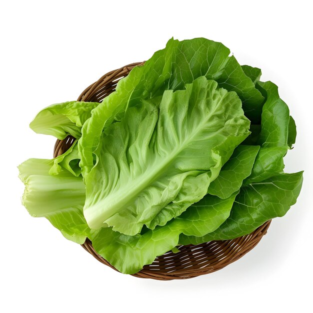 Beautiful green organic lettuce salad flat lay isolated on white background